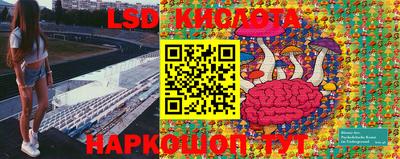 ешки Гай
