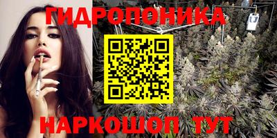 ешки Гай