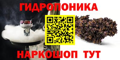ешки Гай