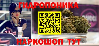 стаф Гагарин