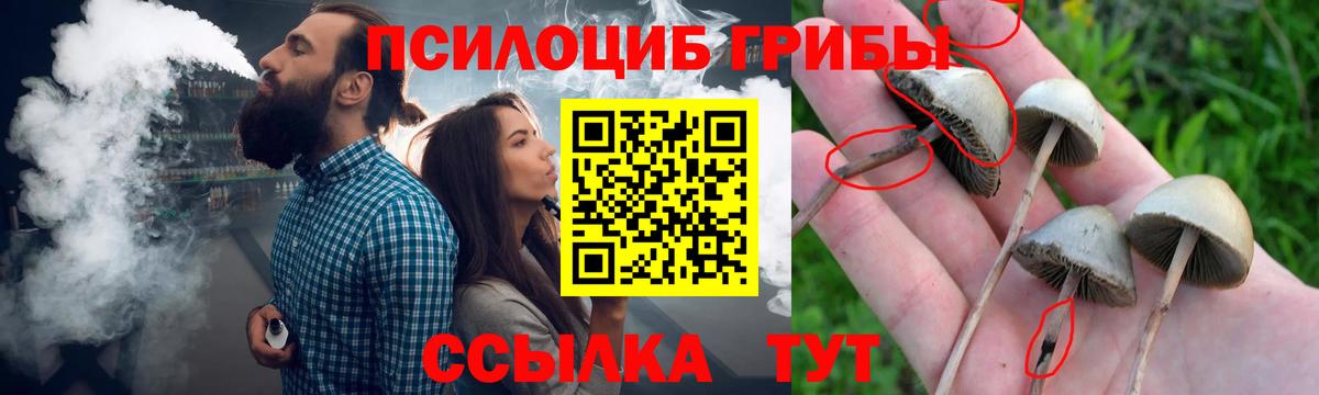 Псилоцибиновые грибы GOLDEN TEACHER Мценск