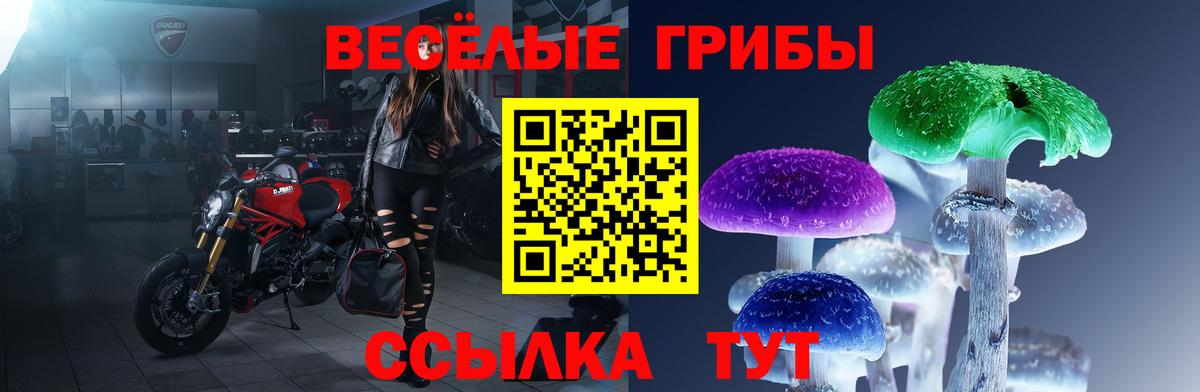 Мценск  Псилоцибиновые грибы GOLDEN TEACHER  Вход с VPN 